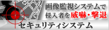 画像監視システムで侵入者を威嚇・撃退 セキュリティシステム